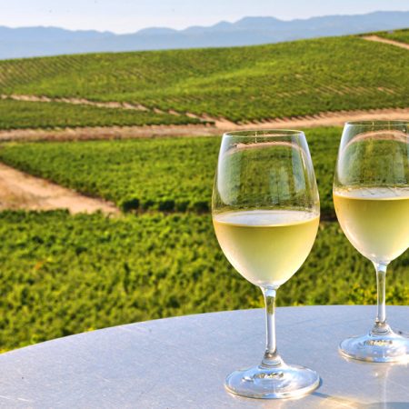 Víno Barton Guestier Bistro Sauvignon Blanc French Wines 11,5% 0,75L - Image 2